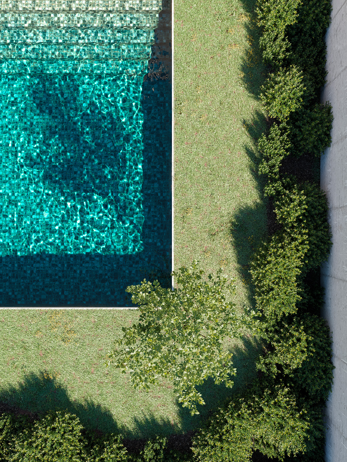 Caledonian_Townvisuals